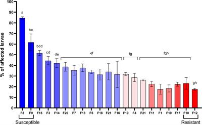 Resistance of Argopecten purpuratus scallop larvae to vibriosis is associated with the front-loading of immune genes and enhanced antimicrobial response